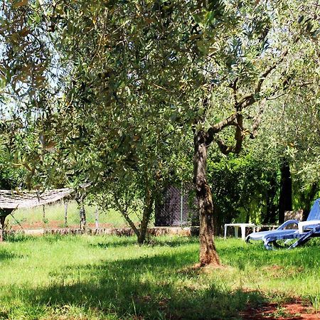Willa Oliven Garden Rovinj Zewnętrze zdjęcie