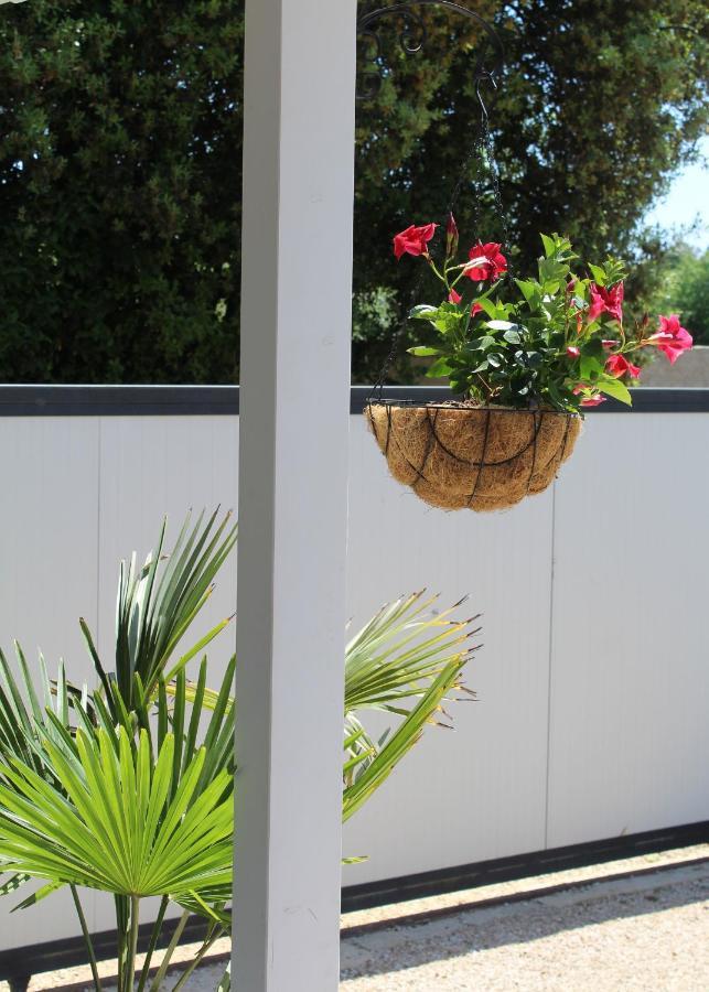 Willa Oliven Garden Rovinj Zewnętrze zdjęcie