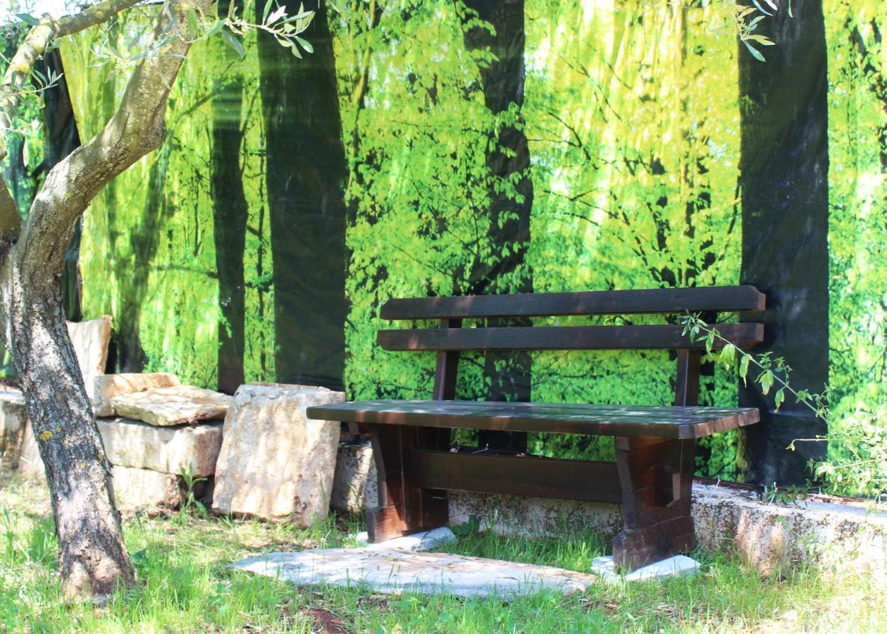 Willa Oliven Garden Rovinj Zewnętrze zdjęcie