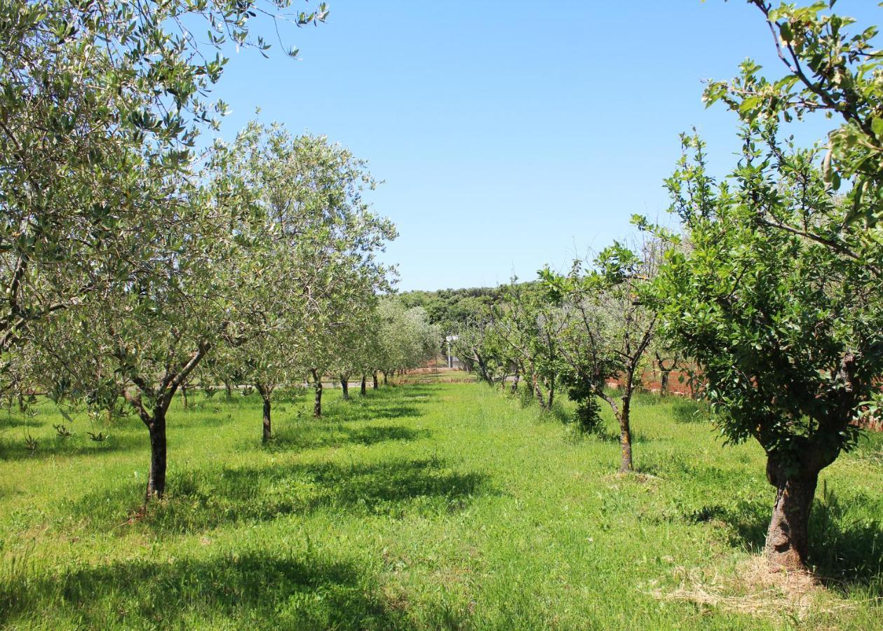 Willa Oliven Garden Rovinj Zewnętrze zdjęcie
