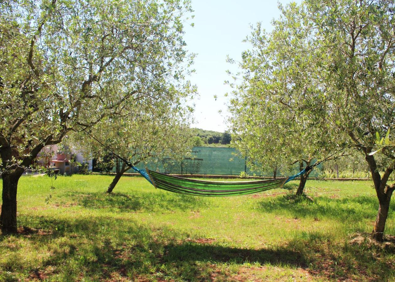 Willa Oliven Garden Rovinj Zewnętrze zdjęcie