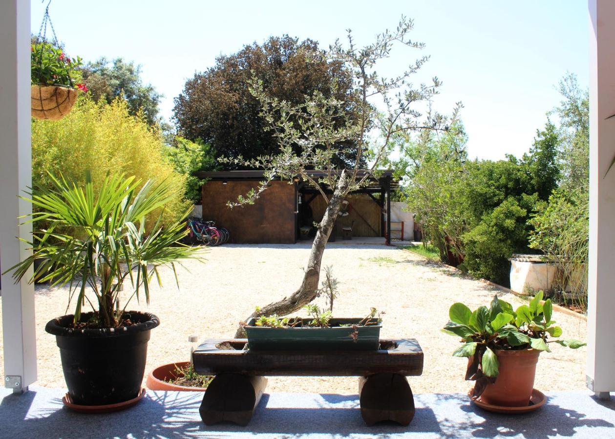 Willa Oliven Garden Rovinj Zewnętrze zdjęcie