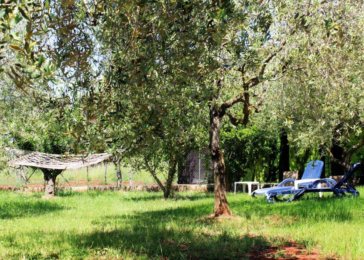 Willa Oliven Garden Rovinj Zewnętrze zdjęcie