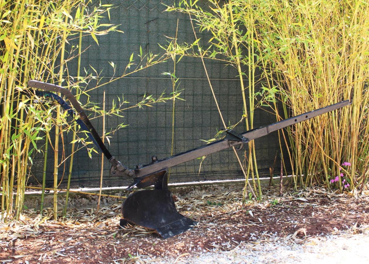 Willa Oliven Garden Rovinj Zewnętrze zdjęcie
