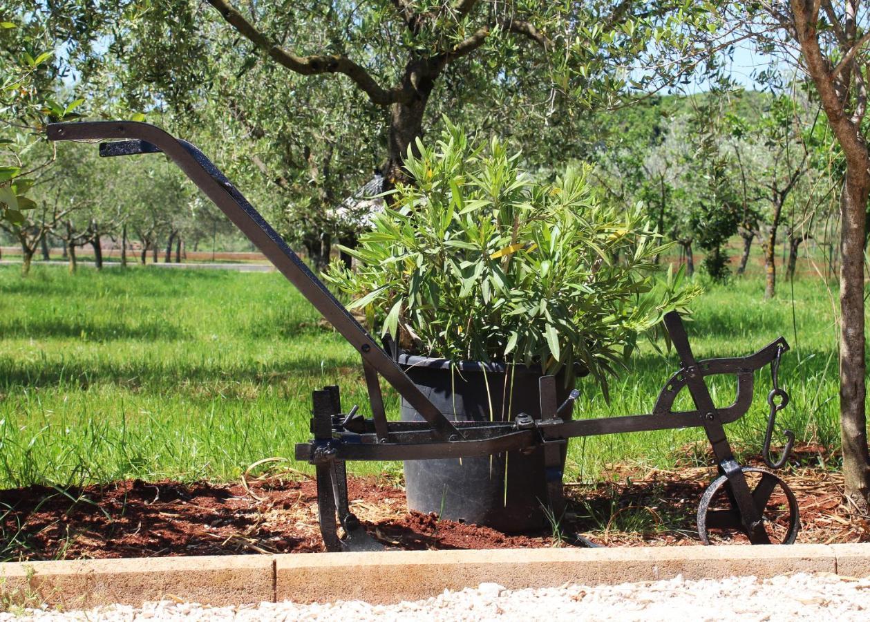 Willa Oliven Garden Rovinj Zewnętrze zdjęcie